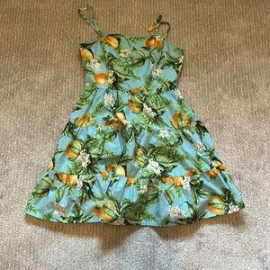 Blue and green BB Dakota dress
